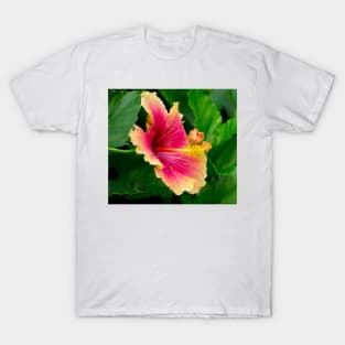 1127 hibiscus T-Shirt